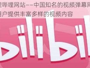 哔哩哔哩网站——中国知名的视频弹幕网站，为用户提供丰富多样的视频内容