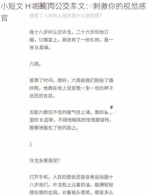 小短文 H 啪纯肉公交车文：刺激你的视觉感官