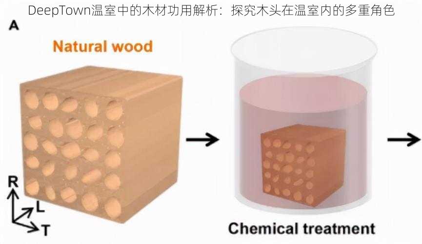 DeepTown温室中的木材功用解析：探究木头在温室内的多重角色