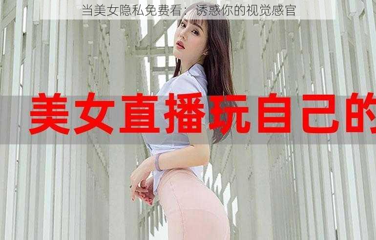 当美女隐私免费看：诱惑你的视觉感官