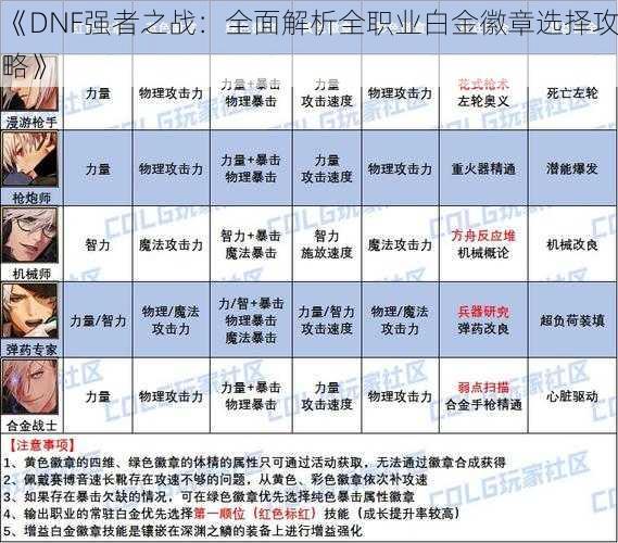 《DNF强者之战：全面解析全职业白金徽章选择攻略》