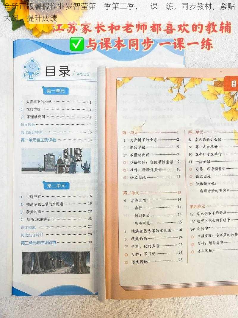 全新正版暑假作业罗智莹第一季第二季，一课一练，同步教材，紧贴大纲，提升成绩